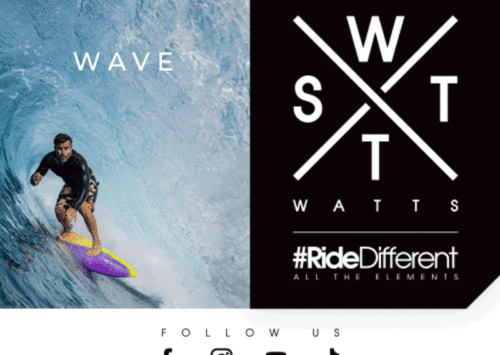 ÉPICA PERFECCIÓN FRANCESA