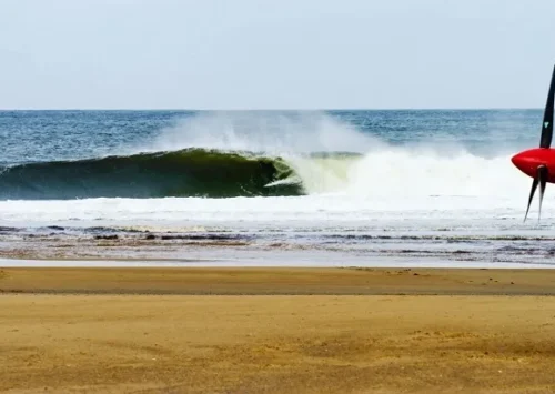 PELÍCULA DE SURF: “CREATURES OF HABIT”
